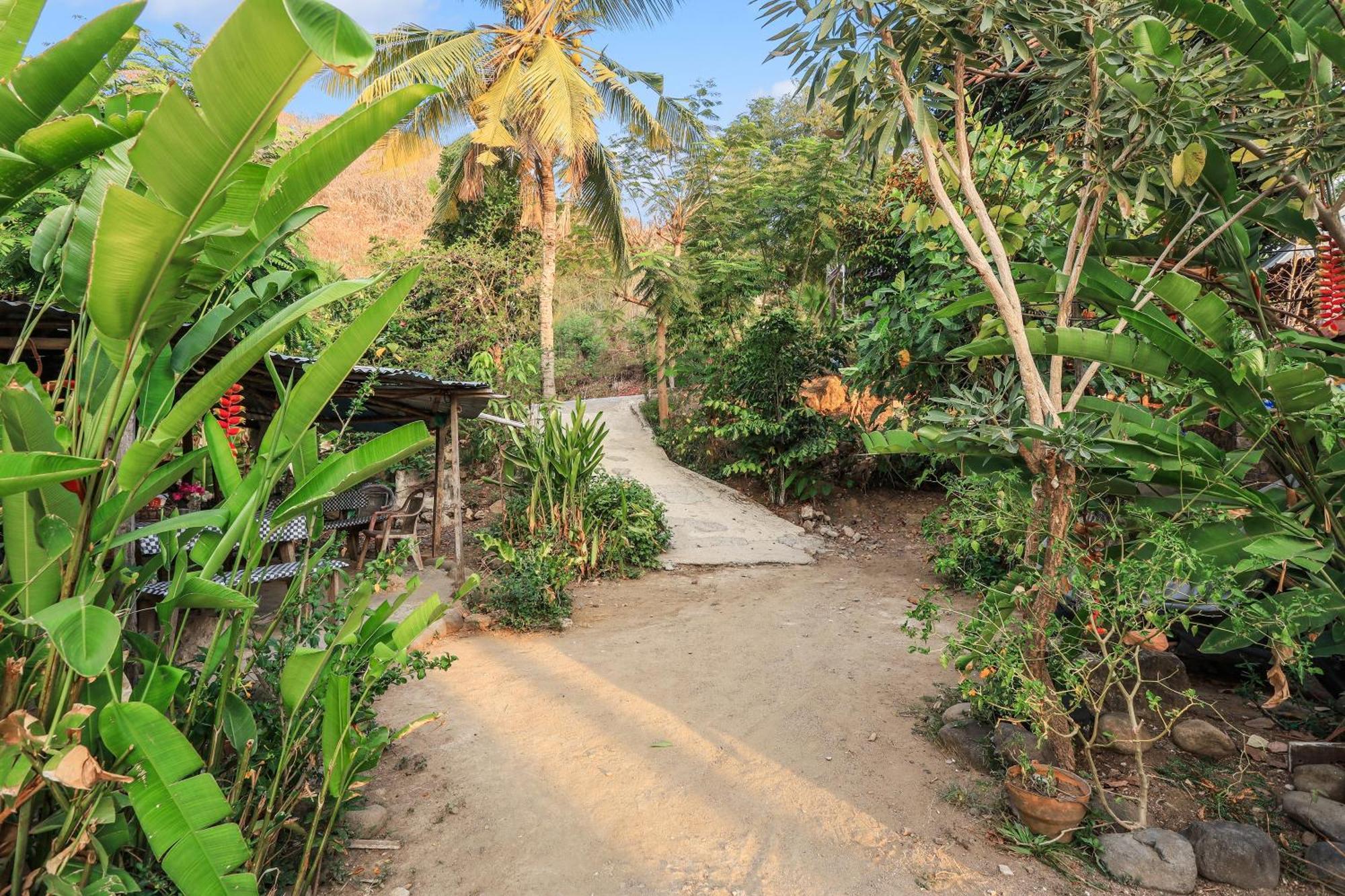 Palulu Garden Homestay 라부안 바조 외부 사진